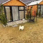 Boga Cabins *