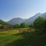 Boga Cabins Landhuis *