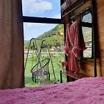 Boga Cabins